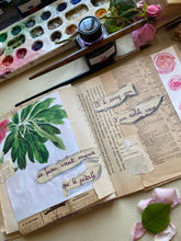 Load image into Gallery viewer, La rose thé
