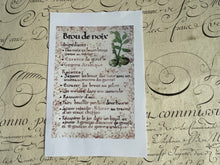 Load image into Gallery viewer, Kit encre brou de noix