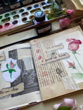 Load image into Gallery viewer, La rose thé
