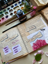 Load image into Gallery viewer, La rose thé
