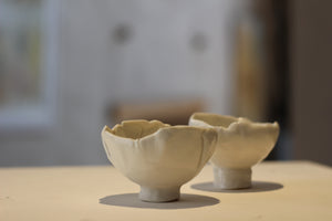Small fine porcelain bowl